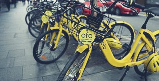 Bike-sharing firm Ofo vows