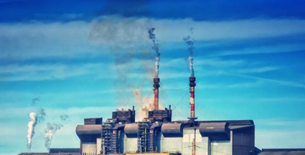 Etsy joins the bandwagon of firms planning to battle climate change